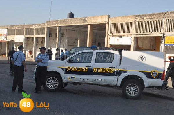 ta3n ludj31 (18).JPG